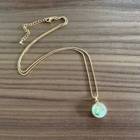 A Soft Yellow Blossom